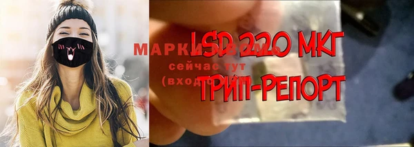 гидра Новодвинск