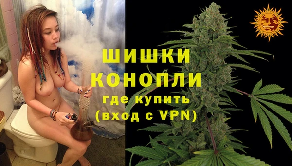 гидра Новодвинск