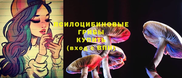 гидра Новодвинск