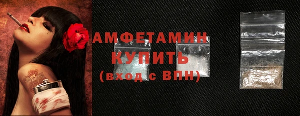 гидра Новодвинск