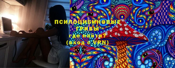 эйфоретик Новозыбков