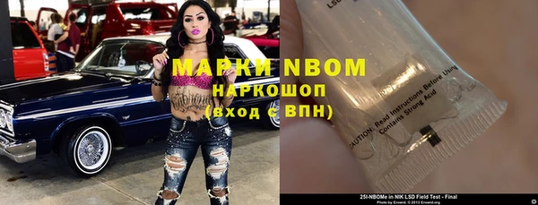гидра Новодвинск